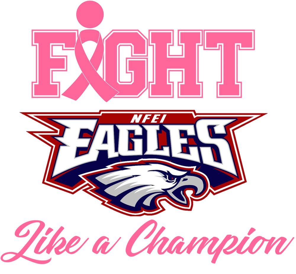 Breast Cancer Awareness Shirt - Fight Like a Champion
